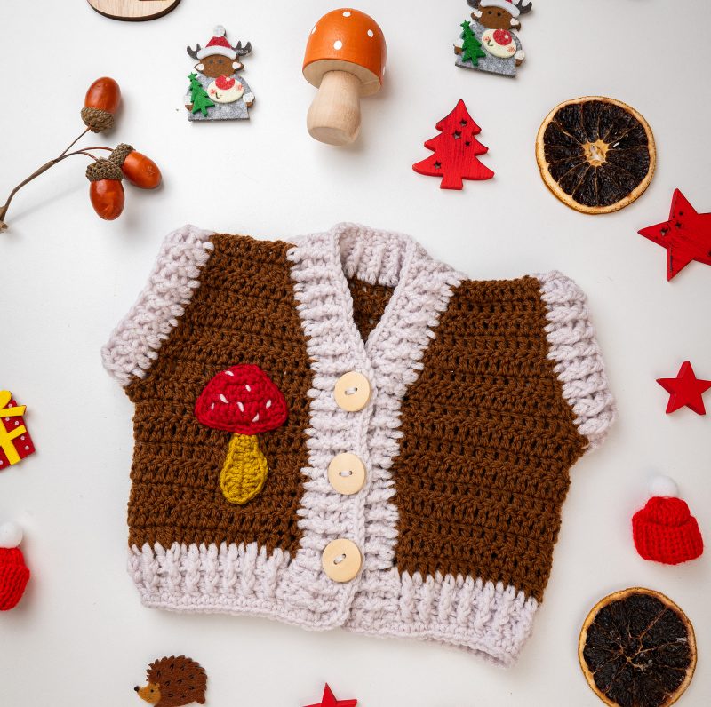 Mashroom Sweater (1 of 6)_blog_image